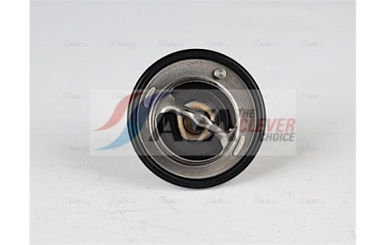 Thermostat, coolant, Image 2