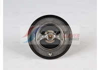 Thermostat, coolant