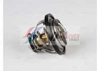 Thermostat, coolant