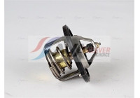 Thermostat, coolant