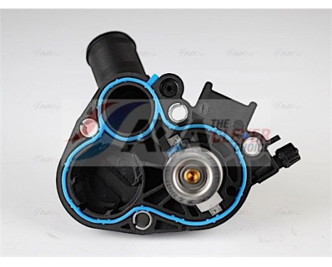 Thermostat, coolant