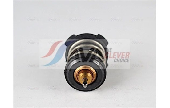 Thermostat, coolant, Image 2
