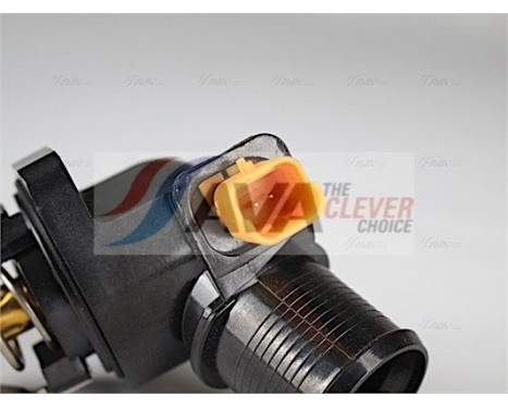 Thermostat, coolant