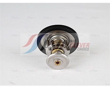 Thermostat, coolant