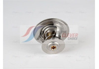 Thermostat, coolant