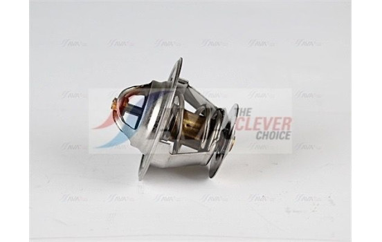 Thermostat, coolant, Image 2