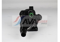 Thermostat, coolant
