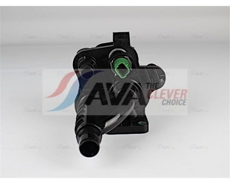 Thermostat, coolant
