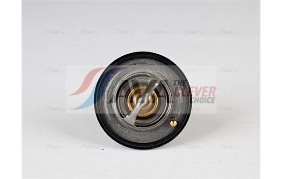 Thermostat, coolant, Image 2