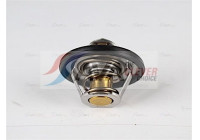 Thermostat, coolant