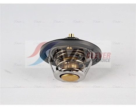 Thermostat, coolant