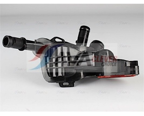 Thermostat, coolant
