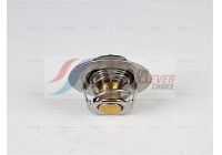 Thermostat, coolant