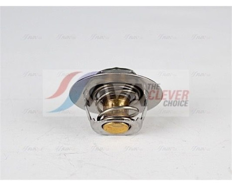 Thermostat, coolant