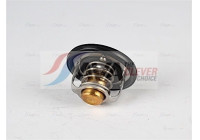 Thermostat, coolant