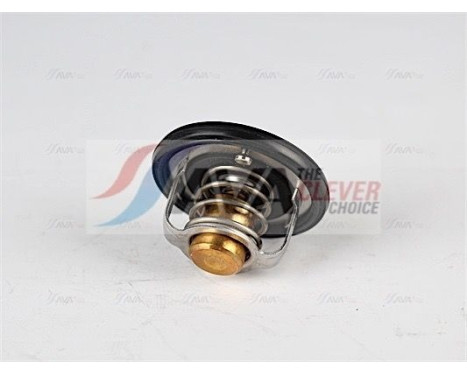 Thermostat, coolant