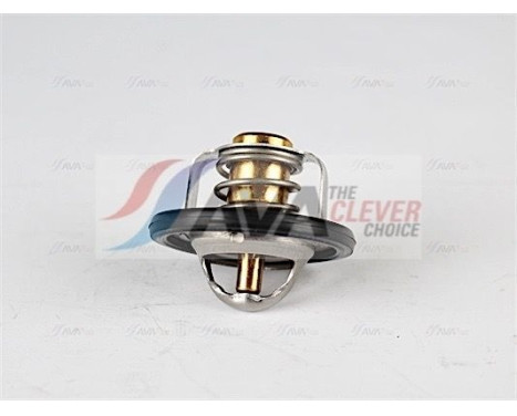 Thermostat, coolant, Image 2