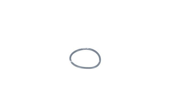 Thermostat, coolant, Image 5