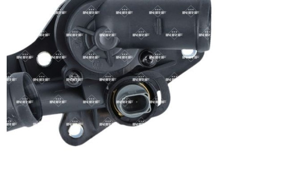 Thermostat, coolant
