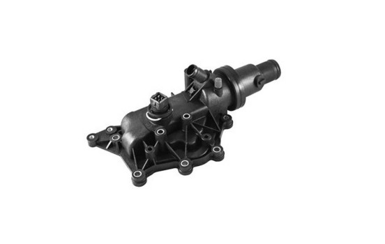 Thermostat, coolant