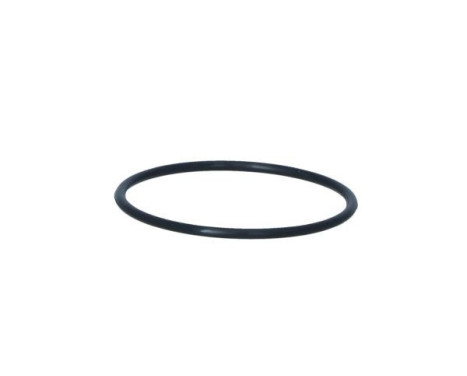 Thermostat, coolant, Image 6