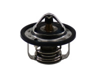 Thermostat, coolant