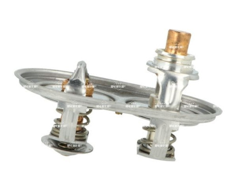 Thermostat, coolant