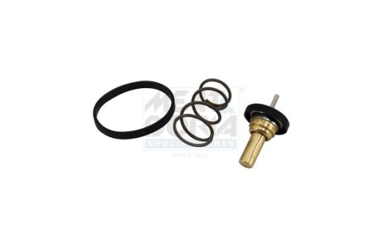Thermostat, coolant