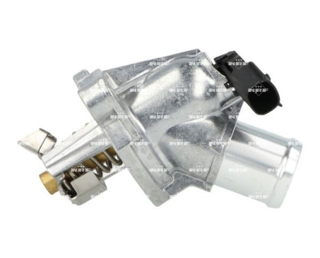 Thermostat, coolant