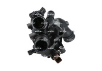 Thermostat, coolant