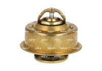 Thermostat, coolant
