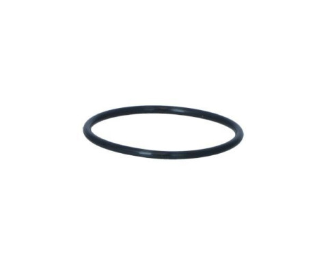 Thermostat, coolant, Image 5