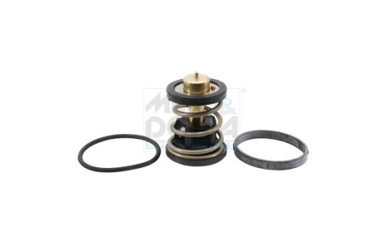 Thermostat, coolant
