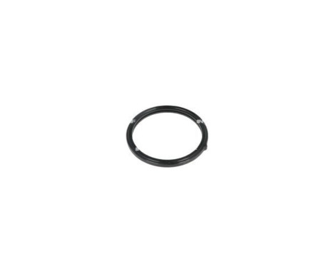 Thermostat, coolant, Image 6