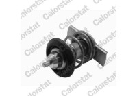 Thermostat, coolant