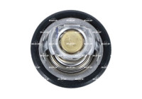 Thermostat, coolant