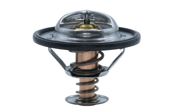Thermostat, coolant, Image 2