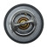 Thermostat, coolant, Thumbnail 7