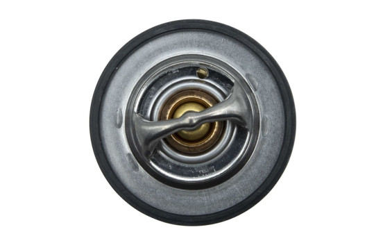 Thermostat, coolant, Image 7