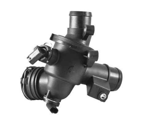 Thermostat, coolant
