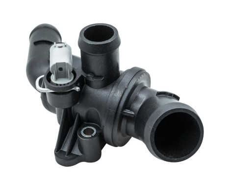 Thermostat, coolant