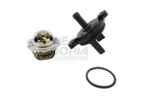 Thermostat, coolant