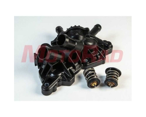 Thermostat, coolant
