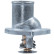Thermostat, coolant, Thumbnail 6