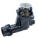 Thermostat, coolant