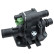 Thermostat, coolant