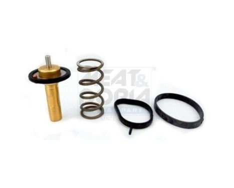 Thermostat, coolant