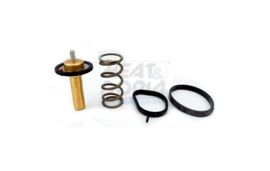 Thermostat, coolant