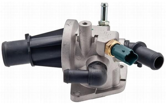 Thermostat, coolant