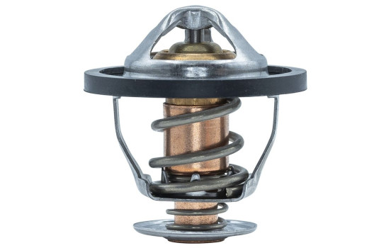 Thermostat, coolant, Image 3